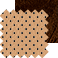 Hazel (Urban)