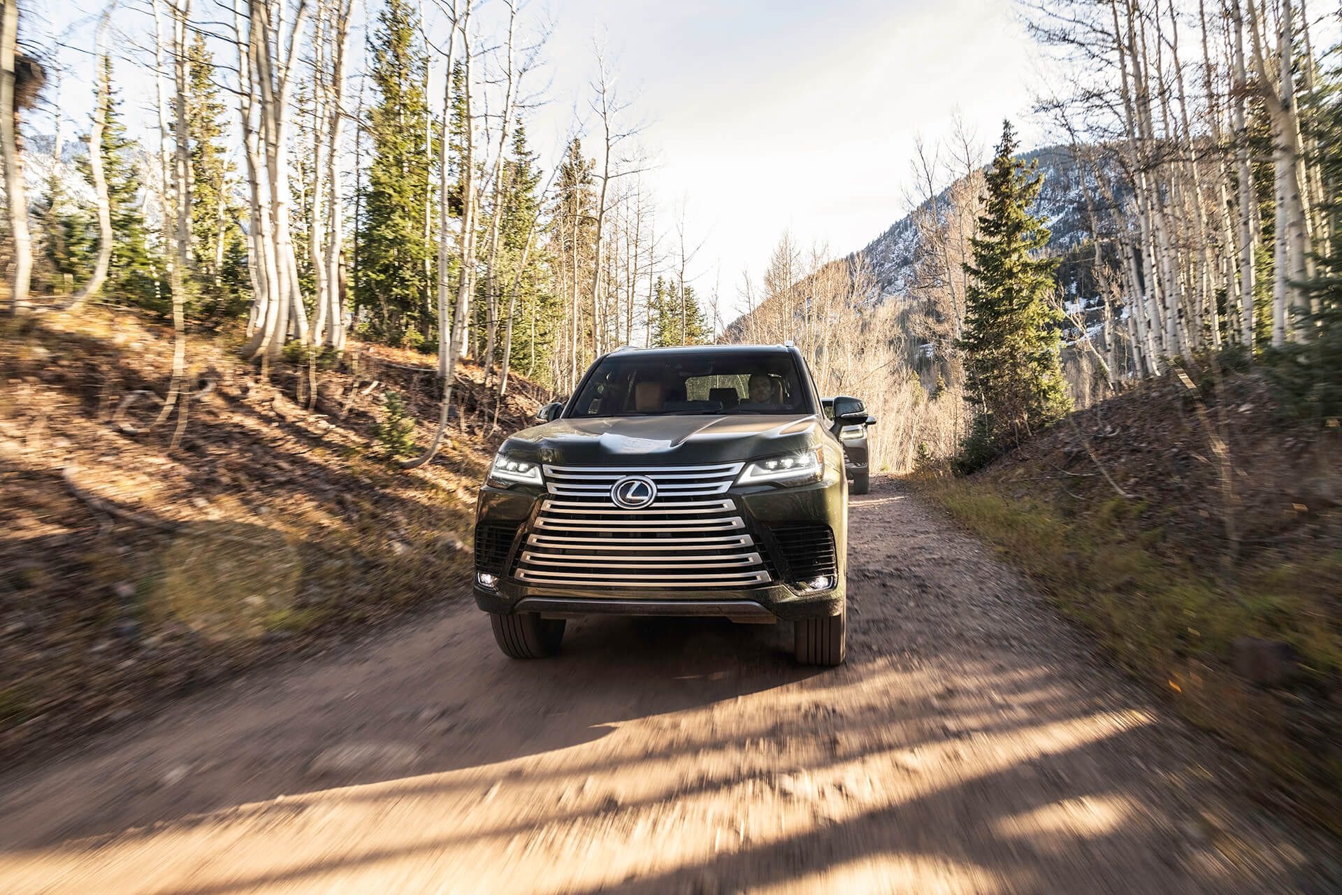 LX Luxury Terrane