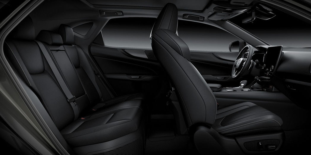 F-SPORT BLACK