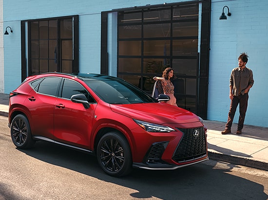 EXTERIOR STYLING