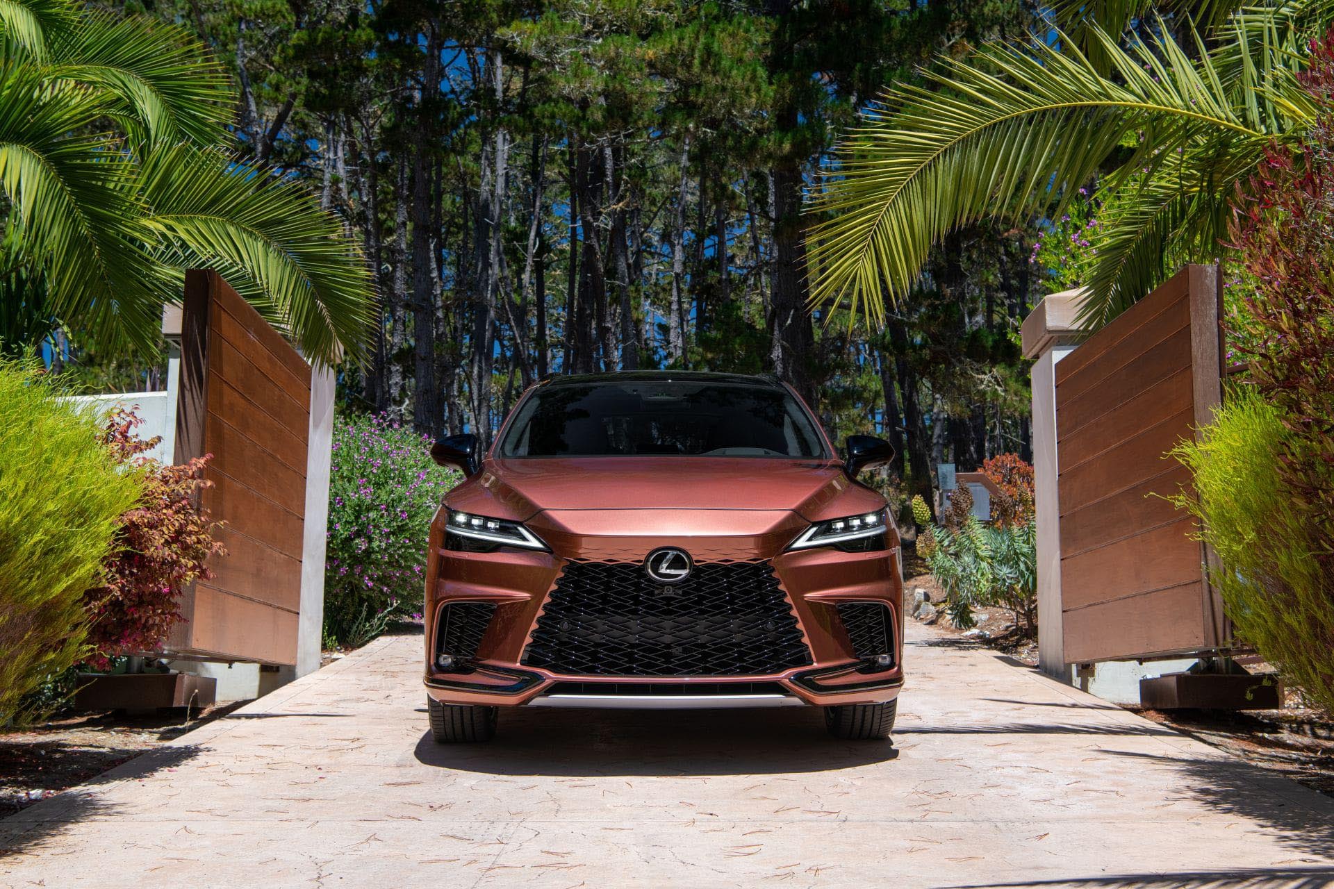 LEXUS SAFETY SENSE